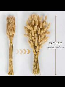 60pcs White Natural Pampas Grass Decor Rabbit Tail Dried Flowers Boho Style Home Decoration, Pampas Grass Room Decor, Valentine's Day, Gift Gifts Birthday Graduation,Fall Decor,Autumn