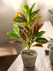24-41cm Artificial Ficus Tree Branch Fake Garden Croton Plants Desktop Landscape Leaves Plastic Tropical Rubber Tree For Home Garden Kitchen Dining Room Balcony Party Wedding Decoration