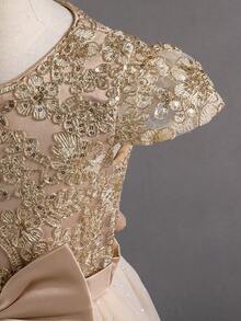 Kids Young Girl Dress Children's Lace Embroidered Sequined Flower Girl Wedding Performance Birthday Party Elegant Princess  Long Formal Occasion Gown - 黃色 - 查看 5