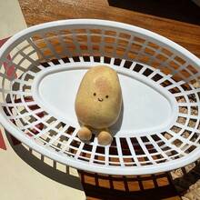 1/2/3/6个装 Taba 挤压玩具，可爱柔软的感官玩具，适合缓解压力、放松身心，是一款感官解压玩具。 - 彩色 - 查看 10