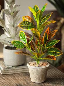 24-41cm Artificial Ficus Tree Branch Fake Garden Croton Plants Desktop Landscape Leaves Plastic Tropical Rubber Tree For Home Garden Kitchen Dining Room Balcony Party Wedding Decoration