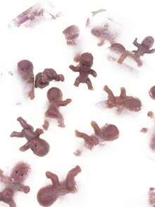 100 件婴儿淋浴冰块游戏迷你塑料婴儿/派对国王蛋糕/国王蛋糕婴儿/国王蛋糕婴儿/塑料婴儿不可食用蛋糕装饰（黑色） - 黑色 - 查看 6