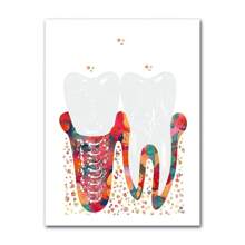1 pieza de pósteres artísticos de anatomía de dientes humanos vintage, ilustración de dientes, lienzo médico dental, impresiones de pared, imágenes para decoración del hogar, marco opcional
