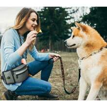 1 Pc Pet Training Fanny Pack, Dog Snack Bag, Outdoor Multi-Functional Pet Training Walking Dog Fanny Pack, Travel Fanny Pack, Can Be Loaded With Emergency Supplies, Snacks, Drinking Bottles, Feces Bags, Etc.