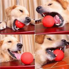 Indestructible Rubber Ball Dog Toy For Cleaning Teeth And Exercise