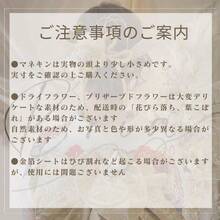 髪飾り専門店 Bria 成人式 卒業式 結婚式 七五三 和装 髪飾り ドライフラワー 金箔付き 和玉 胡蝶蘭水引 - レッド - チェックする 7