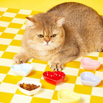 PETSIN 1 件装仓鼠金鱼熊食碗，松鼠花仓鼠树枝啮齿动物食物容器，多色适用于猫狗宠物