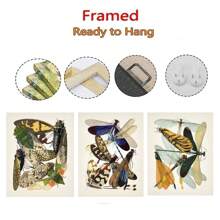 1pc Frameless Abstract Modern Minimalist Nordic Style Animal Art Posters Vintage Painting Butterfly Insect Evolution Printing Wall Arts Suitable For Living Room, Bedroom, Dormitory, Study, Bar, Coffee Shop, Office Wall Decoration Home Decoration