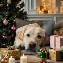 Bezaubernder Labrador-Muster Kissenbezug, mit Reißverschluss, Landhausstil, 100% Pfirsichhaut-Polyester, maschinenwaschbar - ideal für Sofa & Schlafzimmerdekoration, ohne Kissen, Hundehauskissen