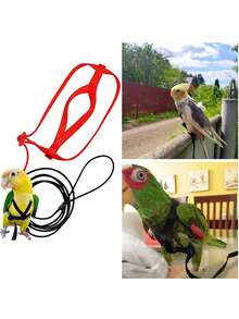 1 Set Parrot Harness Style Leash Pet Training Toy, Suitable For Walking Birds Outdoor - Black - View 2