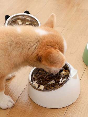 1 قطعة وعاء قطة من الصلب المقاوم للصدأ مع واقي رقبة قابل للفك