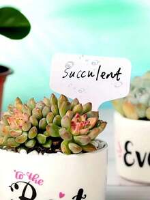 50 件白色 T 形植物标签、花园植物标记、防水户外花园植物标牌，适用于盆栽植物