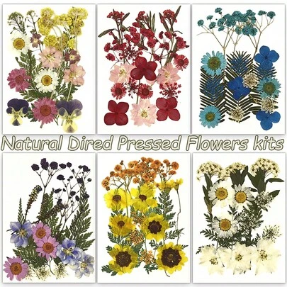 6Pack/Set Dried Flowers For Resin,Real Pressed Flowers, Dry Leaves Bulk Natural Herbs Kit For Scrapbooking DIY, Epoxy Resin Jewelry Molds, Candle, Soap Making, Nails Decor, DIY Art Crafts Gifts Accessories, DIY Jewelry Making Filling Materials