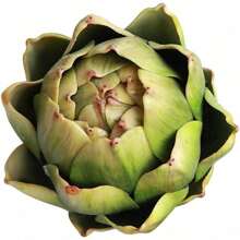 6 Pcs Large Green Artificial Artichokes Fake Vegetables And Fruits For Summer Kitchen Wedding Bowl And Vase Decorations