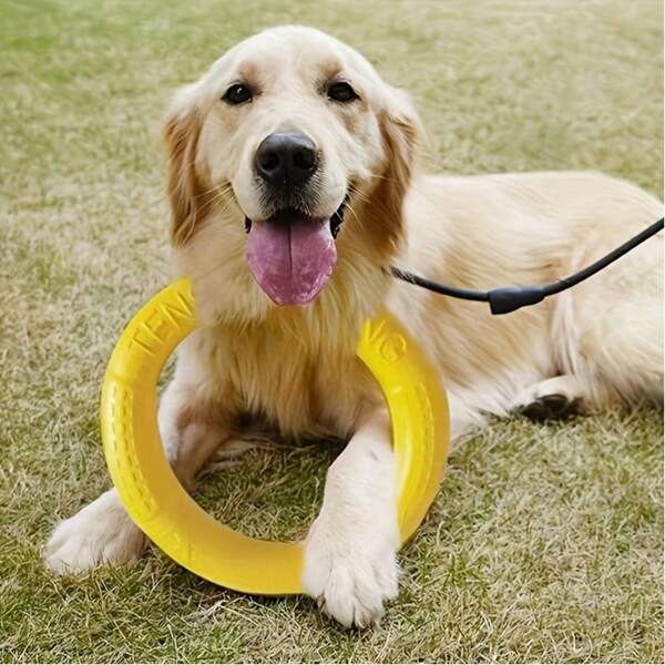 EVA Dog Toys Flying Disc, Large Breed Dog Chew Resistant Fetch Disc Toys For Border Collie, Golden Retriever