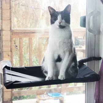 1PC Pet Cat Hammock Aerial Hanging Cat Bed Cats Bed House Kitten Climbing Frame Sunny Window Seat Nest Bearing Pet Accessories