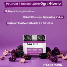 Vitastrong EAA PRO Essential Amino Acids – 9 EAAs With BCAAs, Glutamine, Citrulline, Tyrosine, Lysine, Tryptophan And Methionine, 300g Powder With Red Fruits - 其他 - 查看 4