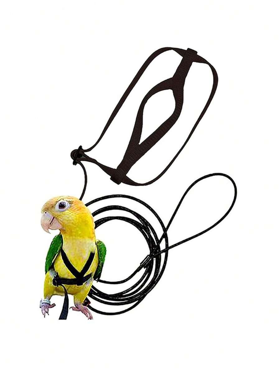 1 Set Parrot Harness Style Leash Pet Training Toy, Suitable For Walking Birds Outdoor - Black - View 1