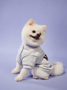 PETSIN 1pc Pet Clothes Dog Cat Apparel Small Puppy Autumn/Winter Hoodie - "Mom's Best Friend" Light Grey Zip-Up Hoodie