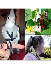 1 Set Parrot Harness Style Leash Pet Training Toy, Suitable For Walking Birds Outdoor - Black - View 5