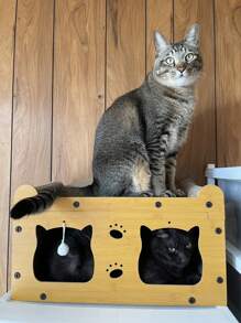 Tavoletta per graffiarsi per gatti 2 in 1, tiragraffi per gatti, cuccia per gatti, nido per animali domestici, casa per animali domestici, casa per gatti a tre piani