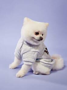 PETSIN 1pc Pet Clothes Dog Cat Apparel Small Puppy Autumn/Winter Hoodie - "Mom's Best Friend" Light Grey Zip-Up Hoodie