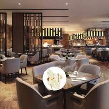 1/3/5/10 件不锈钢餐巾环，节日金属餐巾环架，现代餐巾扣，金属装饰餐桌布置，厨房宴会，派对，婚礼 - 彩色 - 查看 8