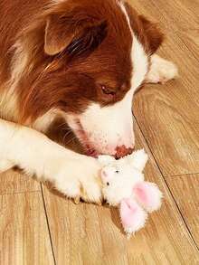 1/2/3 件随机颜色毛绒兔子玩具，耐咬互动猫玩具，柔软宠物减压自玩玩具，猫伴侣互动玩具，复活节礼物，宠物生日礼物