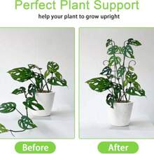 1 pieza Enrejado metálico para plantas, soporte para plantas trepadoras, estante para macetas, adecuado para plantas trepadoras, rosas, verduras, patio trasero