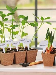 50 件白色 T 形植物标签、花园植物标记、防水户外花园植物标牌，适用于盆栽植物