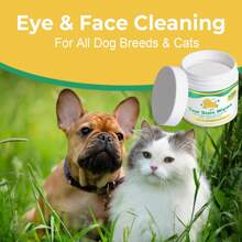 100 lingettes humides de nettoyage pour animaux de compagnie - nettoie en profondeur et nourrit la peau du chien, adoucit le poil, apaise la peau sèche, convient à tous les chiens, procure du confort, doux et hydratant, idéal pour une utilisation quotidienne.