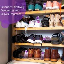 50-250g Dried Lavender Flowers & Buds For DIY Projects, Wedding Toss, Candle Making