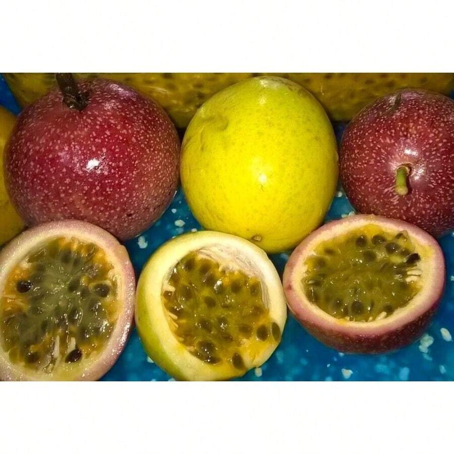 Passion Fruit Maracuya Parcha Passiflora Edulis Semillas Seeds Suitable For Gifts - 1Pack - View 1