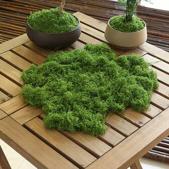 20g/30g/50g 人造苔藓，DIY 仿真苔藓草微景观布置，绿植草坪盆栽窗台装饰景观设计，情人节礼物
