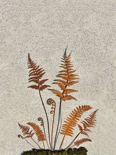 10PCS Rusty Metal Fern Fronds Set, Iron Leaves Art, Decorative Garden Stakes Ornaments, Versatile Home Garden Decor, Perfect For Plant Pots Courtyard Lawn Outdoor Spaces