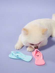 PETSIN 情人节爱心拖鞋形状小狗出牙玩具，模拟咀嚼遥控玩具，缓解无聊并刺激小狗出牙玩具，柔软安全，有益于牙齿健康，适合小型犬种 - 彩色 - 查看 3