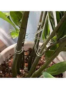 4/8/16pcs Garden Assistance Tree Branch Ties, Plant Vine Fixator, Plant Stem Clip, Plant Trellis, Plant Support Rods, Green Plant Fixator, Flower Hydroponics Folding Fixation Support