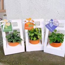 1 pieza Caja de regalo con plantas verdes y flores de color beige, Caja de regalo con planta en maceta blanca, Bolsa plegable de color rosa, Arreglo floral de rosa y clavel como empaque de regalo