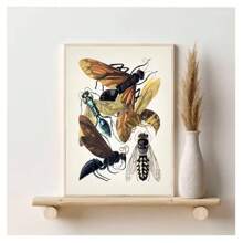 1pc Frameless Abstract Modern Minimalist Nordic Style Animal Art Posters Vintage Painting Butterfly Insect Evolution Printing Wall Arts Suitable For Living Room, Bedroom, Dormitory, Study, Bar, Coffee Shop, Office Wall Decoration Home Decoration