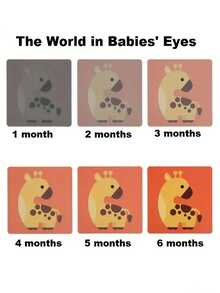 1PC High Contrast Baby Flashcards Black White Card, Newborn Brain Development Toy, Visual Stimulation Learning Activity Cards, 20 Pcs 40 Pages Educational Infants Gift (Black & White & Color), Stationery Supplies - Color - View 3