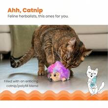 Catstages Green Magic Dynamite Stick Catnip Toy - Nhím nhồi bông - Xem 2