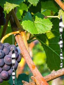 6pcs Woodpecker Home Pole, Outdoor Bird Reflective Equipment, Reflective Scare Pole, Outdoor Bird Reflector, Bird Scare Pole Silver Suspension Plastic Bird Deterrent Device, Wind-Driven Rotating Scare Pole Suitable For Eaves, Branches, Balconies, Gardens, Orchards - Silver - View 8