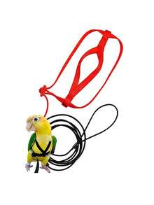 1 Set Parrot Harness Style Leash Pet Training Toy, Suitable For Walking Birds Outdoor - Black - View 10
