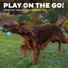 Outward Hound Tail Teaser Lure Dog Teaser Wand, - Multi - View 5