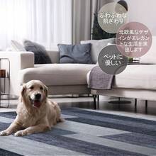 Non-Slip Carpet Tape And Pads