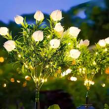 1 pièce/2 pièces Lumière solaire à LED en forme de fleur de gardénia, lumière de jardin solaire extérieure avec fleurs artificielles blanc chaud pour la décoration de jardin. Convient pour la pelouse, la décoration extérieure, les cadeaux de jardinage pour anniversaire