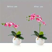 5/10 件套塑料和玻璃纤维植物支撑桩 - 适用于兰花、室内盆栽植物和花卉的绿色园艺支架 - 耐用防倾斜支撑 - 彩色 - 查看 8