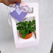 1 pieza Caja de regalo con plantas verdes y flores de color beige, Caja de regalo con planta en maceta blanca, Bolsa plegable de color rosa, Arreglo floral de rosa y clavel como empaque de regalo