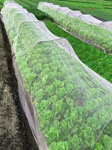 Insect & Bird Barrier Net - Customizable Garden Pest Net, High Density Mesh Netting, Vegetable Crop Cover To Protect Plants, Fruits & Flowers From Insects And Birds - A - View 4