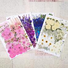 100pcs/Pack DIY Dried Flowers Daisies Leaves, Hydrangeas, Multiple Natural Pressed Flowers Colorful Decorative Dried Flowers For DIY Craft Resin Jewelry Making Scrapbook Supplies Card Making Soap Candle DIY, Valentine Day, Gift Gifts Birthday Graduation - 彩色 - 查看 1
